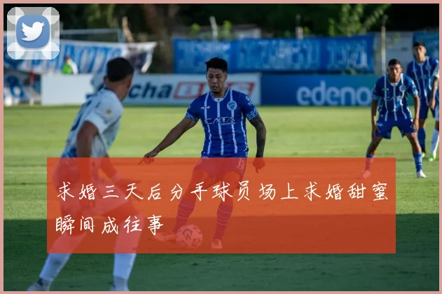 求婚三天后分手球员场上求婚甜蜜瞬间成往事